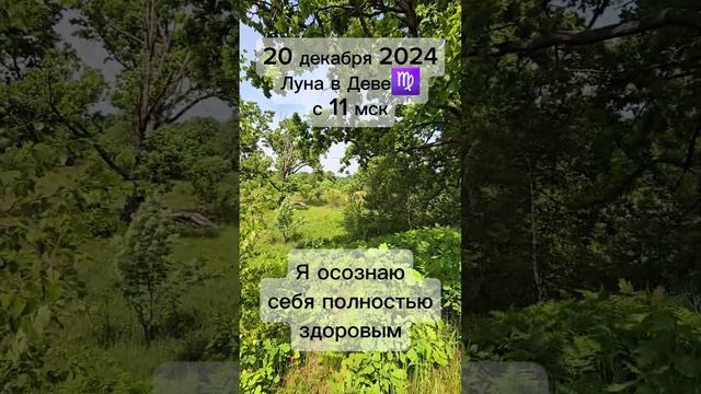 #20декабря2024 #гороскопдня