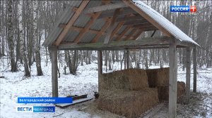 В белгородских охотничьих угодьях сотрудники Экоохотнадзора улучшают условия зимовки диких животных