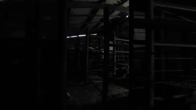 Хейтеры,люблю вас)❤️ ТГК-DanilaFermer#shorts #быки #farming #farmlive #втоп