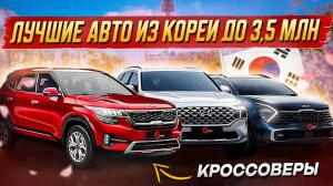 Лучшие кроссоверы из Кореи до 3,5 МЛН: KIA Seltos, Hyundai Santa Fe, KIA Sportage