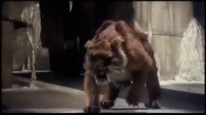 Smilodon vs. Troglodyte from sinbad and the eye of the tiger. 1977