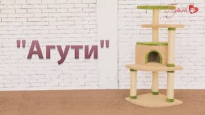 Процесс сборки комплекса «Агути»