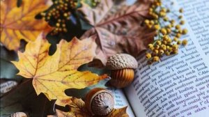 Запретная любовь - Реальные истории и эмоции