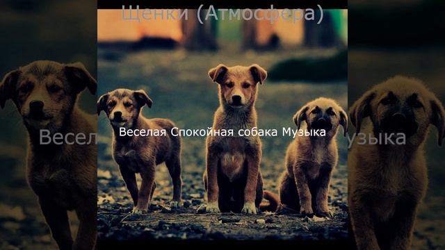 Мечты (Расслабляющие собаки) смотреть онлайн