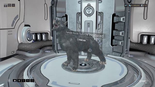 Warframe: Argon Crystal Farm - New Huras Kubrow - She's a Lotus - Meet Niem D. Blatt - Random Color смотреть онлайн