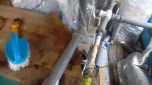 УЗВ для осетровых. Водоподготовка для малька