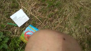 Выкручиватель клещей в действии
