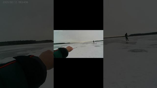 Вспоминаем как играть безмотылкой.