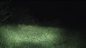 Пронзительная осень 10