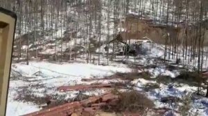 Работа валочной Ponsse Scorpion