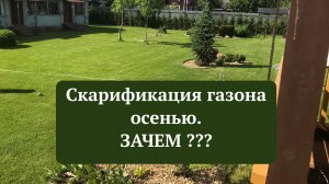 Скарификация газона осенью. Зачем ?