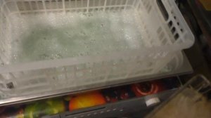 Лучший способ очистки шерсти