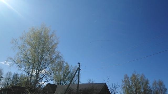 MOV_0005.mp4