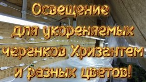 🪴Свет для укореняемых черенков, цветов,рассады!!!🪴