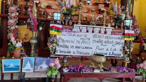 Улочная еда Шри-Ланки. Популярный пляж Джангл Бич. Обезьяны на пути к Буддийскому храму Унаватуны