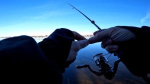 Весенний микроджиг с Tict Ice Cube IC 69F Rockin' Finess