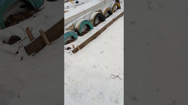 прикольное видео
