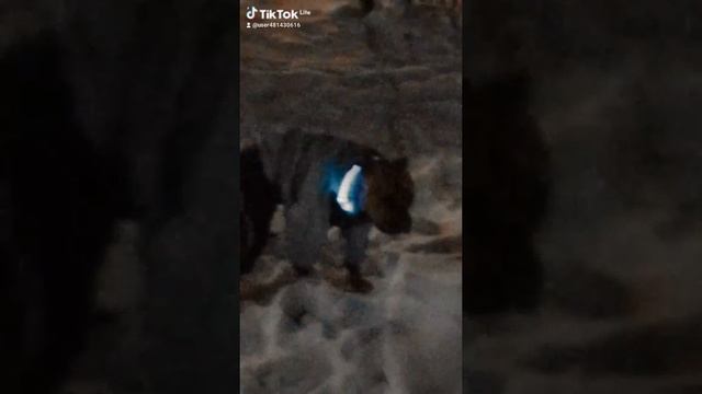 болею поносом 🤣🤣🤣😂😂