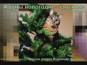 ЖДУНЫ     НОВОГОДНЕ - ЁЛОЧНЫЕ (версия вторая) из прошлого...