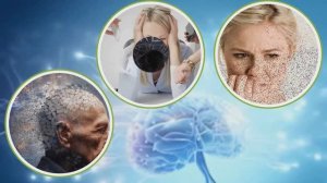 ЭРИНАЦИН Сово Сова