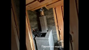 Баня из кедра