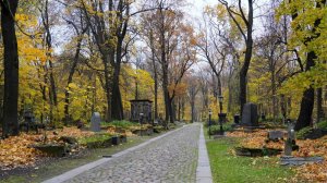 СМОЛЕНСКОЕ ЛЮТЕРАНСКОЕ КЛАДБИЩЕ. Часть 3. ПРОГУЛКА. Всё это - ПИТЕР!