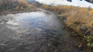 Забытые реки #19 Осень