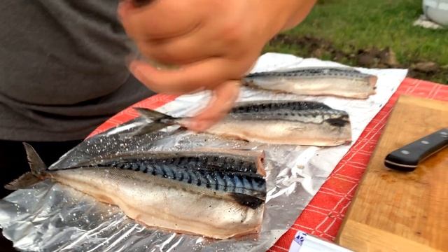 КОПЧЕНАЯ СКУМБРИЯ на Углях. Горячее копчение БЕЗ КОПТИЛЬНИ! ENG SUB