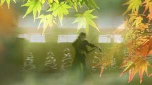 Вы искали меня - Павел Кашин