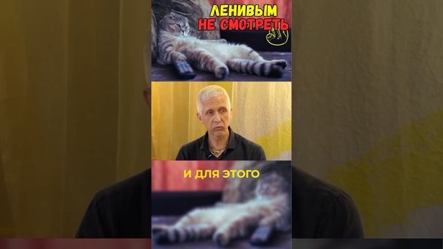 ЛЕНИВЫМ НЕ СМОТРЕТЬ !!!! #мотивациянауспех #мотивационноевидео #мотивационнаяречь #мотивационныйкоуч