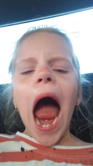 тут писат только  не  18+!!