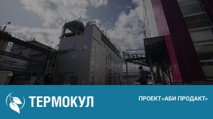 «АБИ ПРОДАКТ» - проект «ТЕРМОКУЛ»