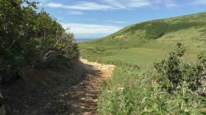 Восточный Бастион 2019. Экспедиция на о.Уруп. Часть 2