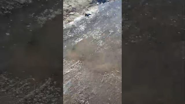 идём домой со школы