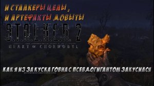 S.T.A.L.K.E.R. 2 - Артефакт на камне в БОЛОТЕ