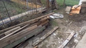 Содержание Осетровые в домашних условиях