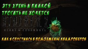 S.T.A.L.K.E.R. 2 - Артефакт в пещере КВАДРОБЕРОВ