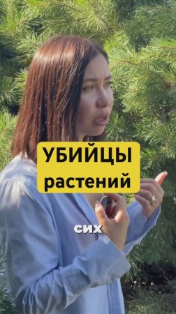 🤦🏼НЕЛЬЗЯ сыпать такие «удобрения»