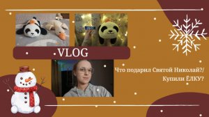 VLOG Что подарил Святой Николай🎅 Купили ЁЛКУ🌲