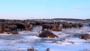 Влог: Выпал снег. Один день жизни в СТЕПИ. цены растут?