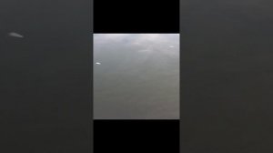 ВОДА В РЕКЕ