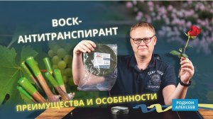 Воск для черенков и растений | Зачем нужен и как использовать?