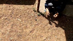 Встреча С Нотпл