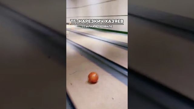 СДЕЛАЛ КРАСИВЫЙ СТРАЙК - АБАЮНДА #shorts #хазяева #хозяева #твич #нарезкич #смешныемоменты
