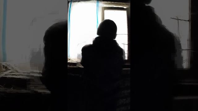 Подготовка "СВИНАРНИКА" к ХОЛОДАМ! #shorts #подготовкакхолодам #сарай #свинарник #утепление #свиньи