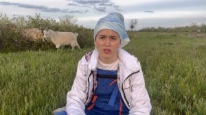 Куда я пропала? Что произошло? По душам...