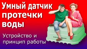 Умный Датчик Протечки Воды для дома: устройство и принцип работы.