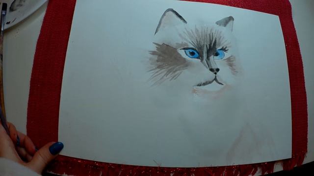Гималайский кот мокрой акварелью/Gato Himalayo con acaurela/Himalayan cat Watercolor смотреть онлайн