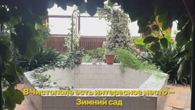 Зимний сад в Чистополе