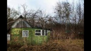 С 1 марта 2025 года заброшенные дачи, огороды и участки начнут изымать